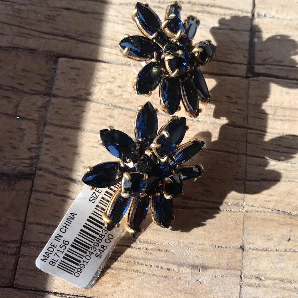 J Crew Earrings